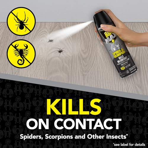 Image of Raid Max Spider and Scorpion Killer, Kills Spiders, Scorpions, Roaches, Ants, Waterbugs, Earwigs, 12 Oz