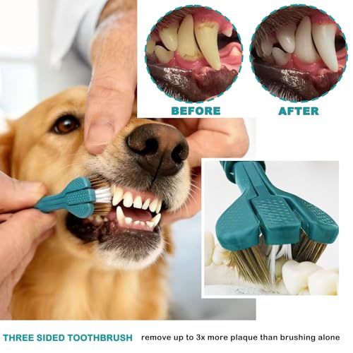Image of Dog Toothbrush Kit, 360-Degree Finger Three-Sided Design, Replaceable Brush Heads, Easy Teeth Cleaning and Dental Care (7 Pack)