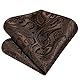 Enlision Herren Braun Paisley Krawatte und Einstecktuch mit Krawattenklammer Set Business Hochzeit für Herren Krawatte & Einstecktuch & Krawattennadel Sets,Braun