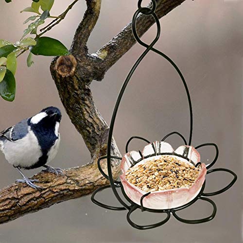 Richhome Bird Feeder with Tray, Metal Bird Feeding Station with