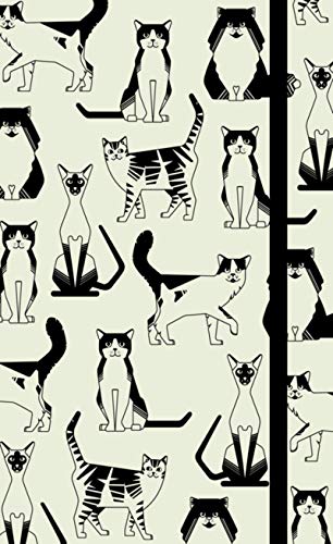 Agenda 2019 Chats Agenda 2019 Chats