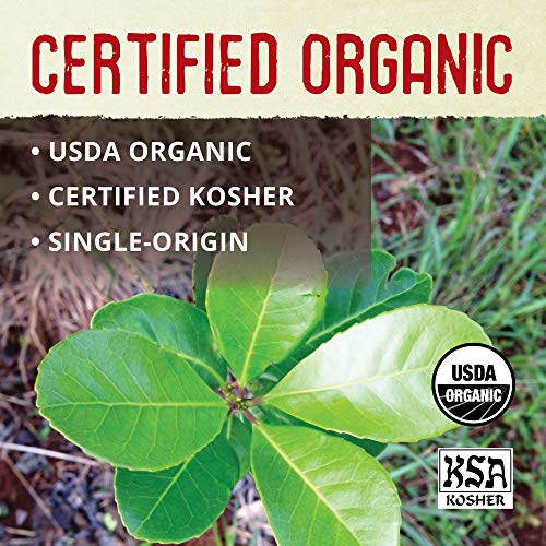 Ecoteas - Unsmoked Yerba Mate Tea - Yerba Mate Tea Bags - Yerba Mate Tea - Detox Tea - Hi Caf Tea - Organic Tea - Organic Detox Tea - Yerba Mate Unsmoked - Yerba Mate - 100 Tea Bags, 8.8 Oz #TOP2