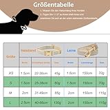 YUDOTE Hundehalsband und Leine Set Klein, Weiche Reizfreie natürlicher Baumwolle mit Twillgewebe für Hund mit empfindlicher Haut, Grau