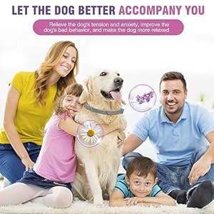 Calming-Collar-for-Dogs-4-Packs-Dog-Pheromone-Calm-Collars-Relief-Anxiety-Stress-Separation-Lasts-60-Days-Relieve-Bad-Behavior-25-Inches-Size-Flexible-Adjustable-for-All-Small-Medium-and-Large-Dog - Cucciolini Doodles   Calming-Collar-for-Dogs-4-Packs-Dog-Pheromone-Calm-Collars-Relief-Anxiety-Stress-Separation-Lasts-60-Days-Relieve-Bad-Behavior-25-Inches-Size-Flexible-Adjustable-for-All-Small-Medium-and-Large-Dog