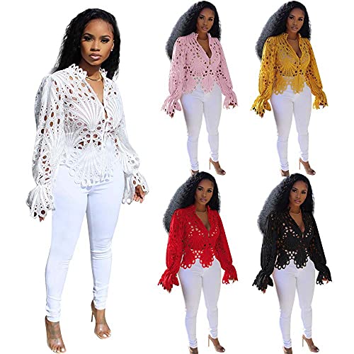 Bluewolfsea Women Sexy V Neck Hollow Out Mesh Crochet Lace Tops Elegant Blouses Long Sleeve Button Up Shirts Large White #TOP6