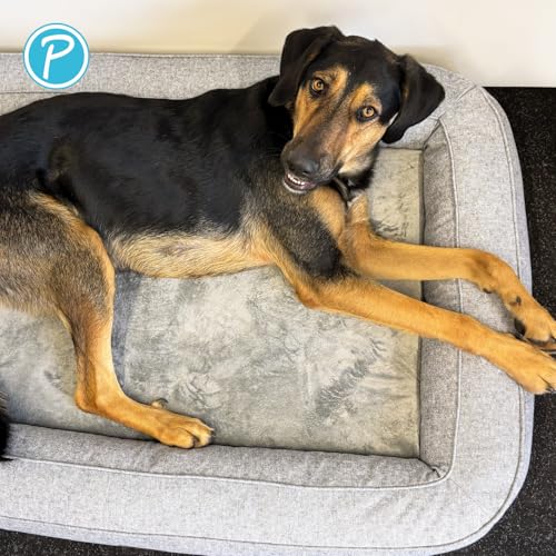 Petlando orthopädisches Hundebett Lima Ortho, ergonomische Liegefläche, Bezug waschbar 60°C, rutschfest, L Stone, Hundematte grau, Hundekissen mittelgroße bis große Hunde