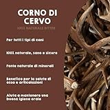 MAIKAI B0BSHJKHT3 lato 2