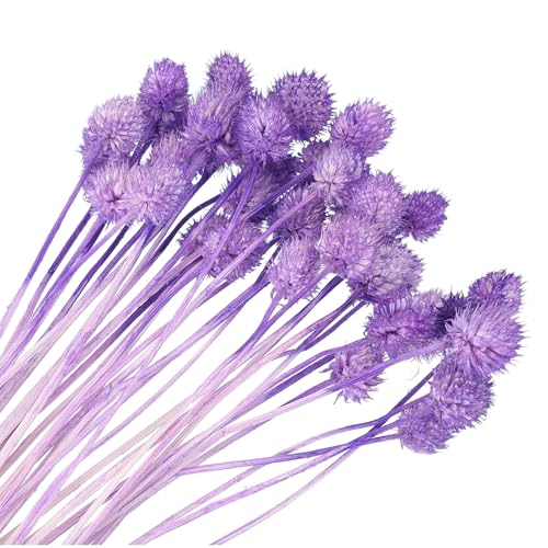 Flores secas mini bola de pino 16 pulg, 30 unidades miniatura 1