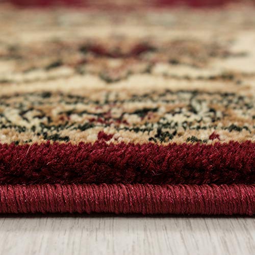 Teppich Orientteppich Wohnzimmer Klassische Optik Orientalisch Ornamente Rot, Maße:300 cm x 400 cm – Bild 3