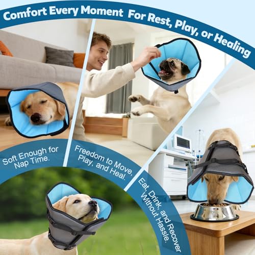 Image of Soft Dog Cone Collar After Surgery: Long Alternative Comfortable Comfy Fabric Recovery Shame Elizabethan Stop Licking Small Medium Large Dogs (Blue, S)