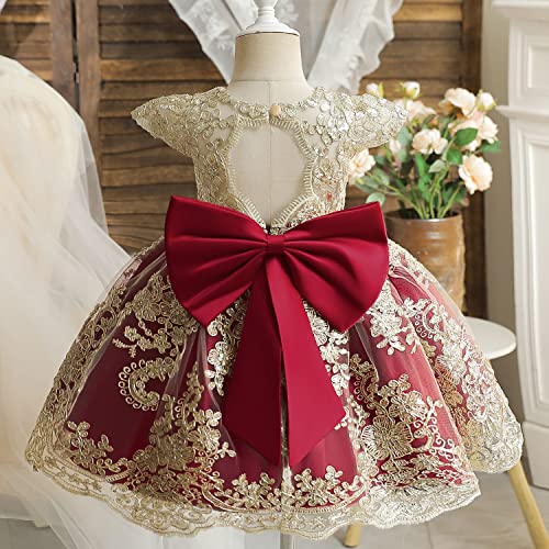 Image of HNXDYY Little Girls Princess Dress Girls Fancy Party Costume