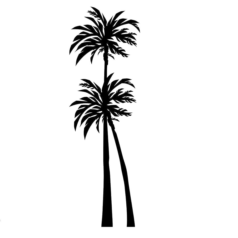 Artistic Sponge Exotic Palms Reusable Stencil A3 A4 A5 & Bigger Sizes Wall Decor Shabby Chic / T30 (Pvc Reusable Stencil, A5 Size - 148 X 210 Mm, 5.8 X 8.3 In)
