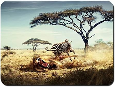 Amazon シマウマの戦いライオン 創造的な絵 パターンカスタムの マウスパッド 動物 22cmx18cm Bingbongbu マウスパッド 通販 Amazon シマウマの戦いライオン 創造的な絵 パターンカスタムの マウスパッド 動物 22cmx18cm Bingbongbu マウスパッド 通販