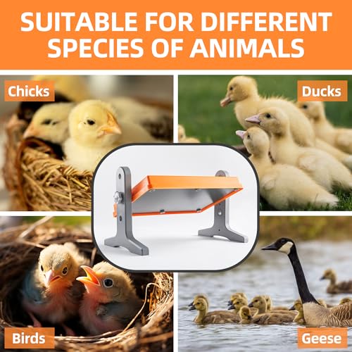 Xbrigh Brooder Heater For Chicks -Chick Brooder Heating Plate With Adjustable Temperature Height Adjustable Chick Warmer 12 Inch X 8 Inch For 10 Chicks Heater,Brooder Plate For Chicks Poultry Heater-Orange thumb #5