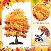 Wonderjune 5 Pieces Mini Fall Maple Tree 2D 5 Size Autumn Artificial Miniature Trees Flat Wooden Village Fall Decoration Thanksgiving Tabletop Centerpieces Set for Indoor Home Harvest Wedding Party #2