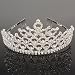 Follsy Charming Rhinestone Heart Flower Design Tiara Crown Headband Comb Pin Wedding Bridal Party Birthday Tiaras