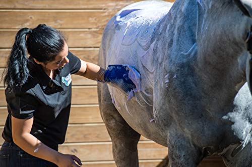 Cowboy Magic Shine In Yellowout Brightens Hair Shampoo 32 Ounce #TOP2