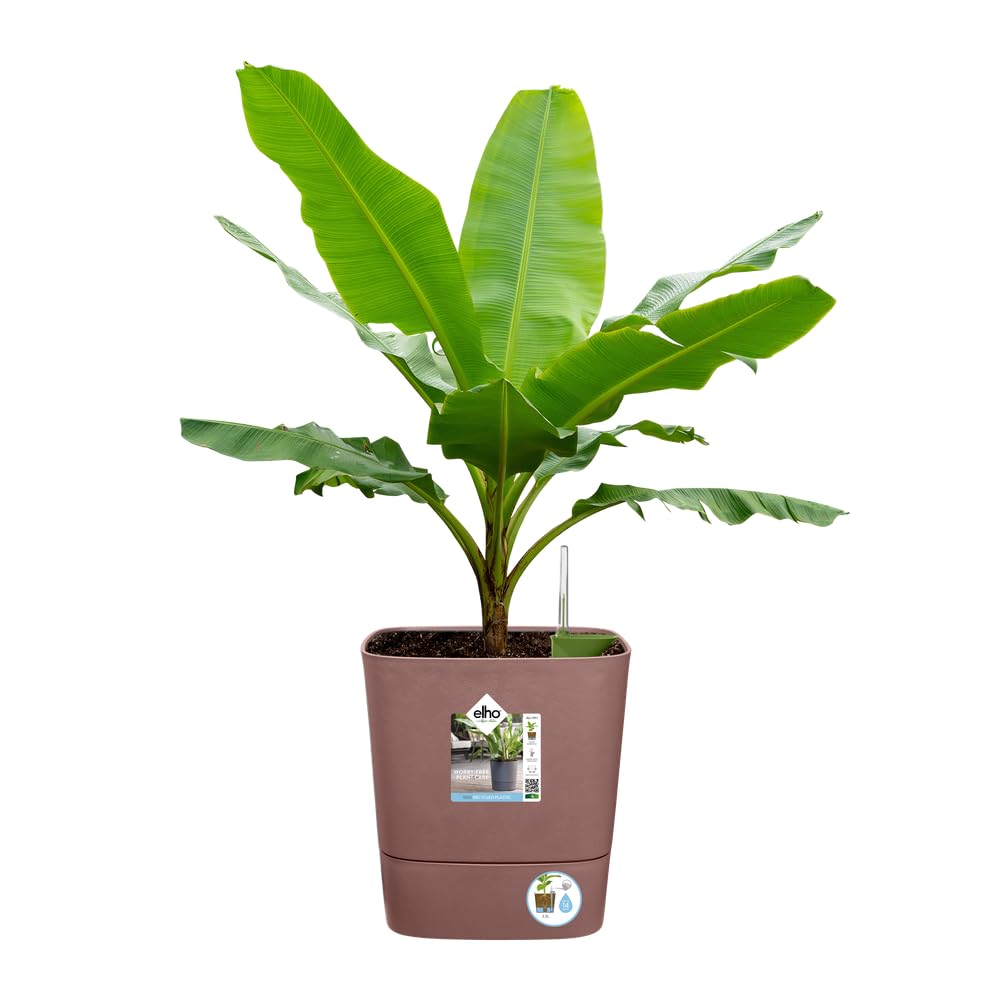 elho Greensense Aqua Care Quadrat 38cm Blumentopf - Lehmbraun | L 38 x B 38 x H 38.9 cm | Integrierter Untersetzer | für den Innen- und Außenbereich | 100% recyceltes Plastik