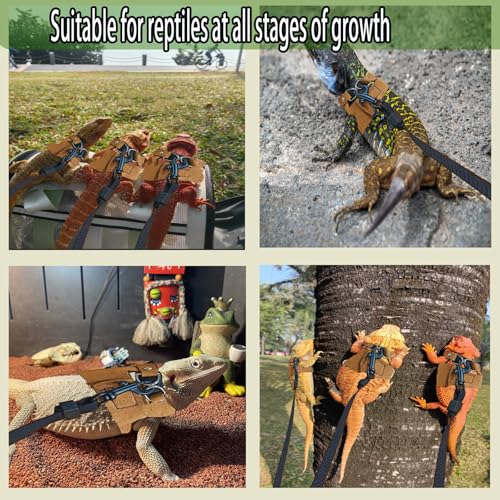 Image of 3 Size Bearded Dragon Leash and Harness Set Adjustable Bearded Dragon Harness with Lizard Traction Rope for Reptile ，Squirrel Ferret Walking Outdoor ，with mini Scooter Toy(Brown)