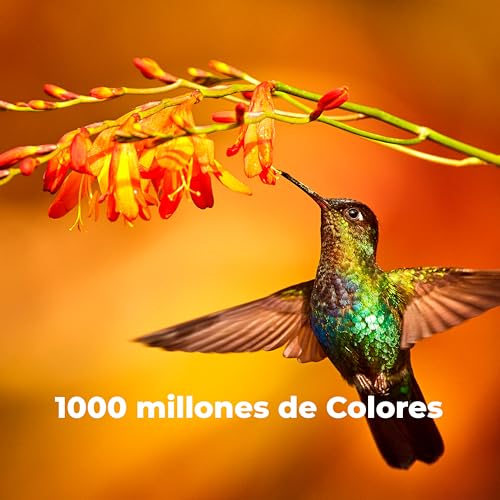 Cecotec LED-Fernseher 75" Smart TV A3-Serie ALU30075, 4K UHD, Android TV 11, Rahmenlos, Google Assistant und Chromecast, Dolby Vision & Atmos, HDR10, HBBTV, 2023. – Bild 7