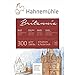 Produktbild Hahnemühle Britannia Aquarellblock, satiniertes naturweißes Aquarellpapier, 300 g/m², 12 Blatt, 17 x 24 cm