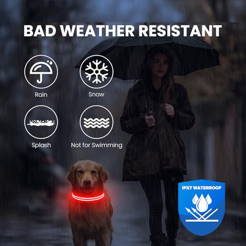Feycig Leuchthalsband Hund USB Aufladbar - LED Hundehalsband Leuchtend Wasserdicht Leuchtendes Hunde Halsband Einstellbare für Kleine Mittlere Große Hunde, 3 Modi