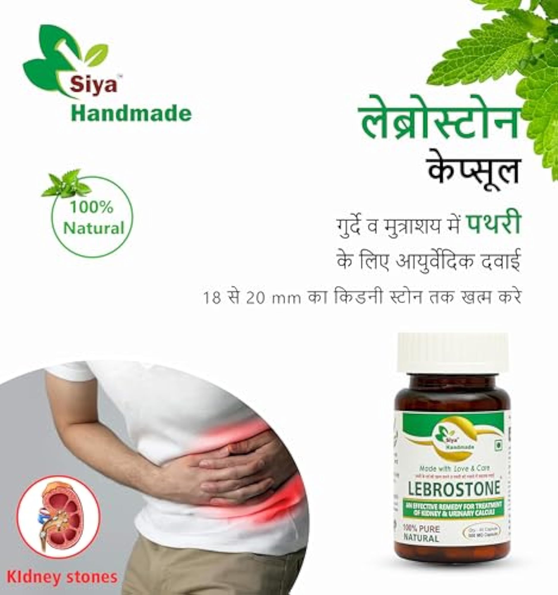 Siya Lebrostone 45 Capsules for Kidney Detox