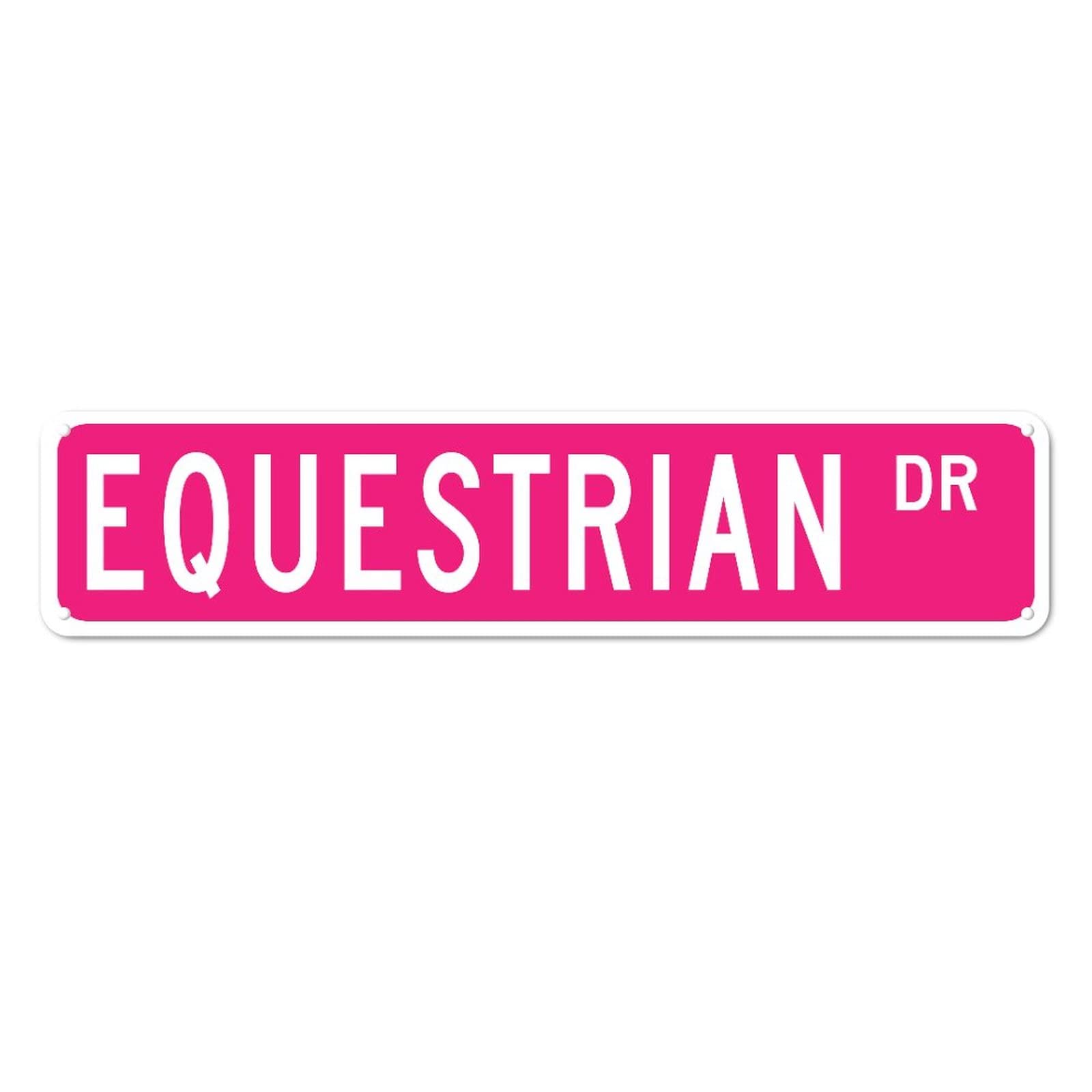 Equestrian DR Retro Tin Signs Aluminum Home Exit Sign Kitchen Garden Wall Front Door Coffee Decor 4x16 Inch