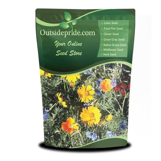 Best garden plants for tennessee sue hamilton Low Growing Wildflower Seed Mix for All States