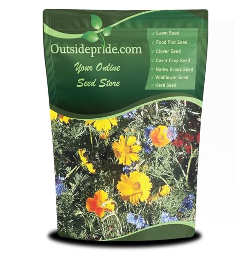 Outsidepride Low Growing Wildflower Seeds - 1/4 lb Dwarf, & Short, Diverse Perennial & Annual Wild Flower Seed Mix with Long Bloom Season for Colorful Display That Thrives on All States