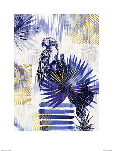 Summer Thornton (Ikat Parrot 60 x 80cm Art Print, Multi-colour, 60 x 80 cm