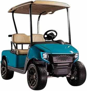 Amazon.com: MadJax Apex Body Kit for EZGO RXV Golf Cart