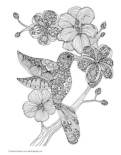 Creative Coloring Birds: Art Activity Pages to Relax and Enjoy! (Design Originals) 30 Designs with Owls, Songbirds, Peacocks, and More, on Extra-Thick Perforated Paper, plus Beginner-Friendly Tips - Image 4