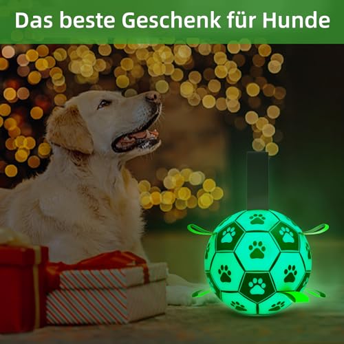 HETOO Hundespielzeug, Hundeball mit Nylon Seil, Premium Hundefußball Spielzeug für Mittlere Große Hunde Indoor & Outdoor Unterhaltung (8 Zoll Glow in Dark)