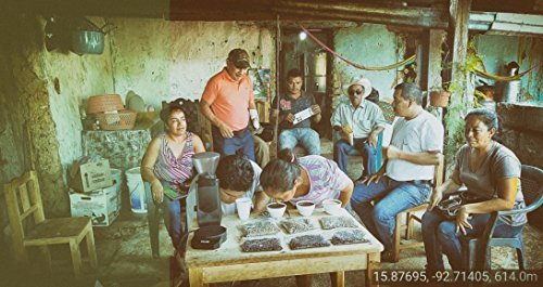 Mexican El Mezcal Micro Lot Coffee Beans (Light Roast (City), 2.5 Pounds Whole Beans) #TOP4