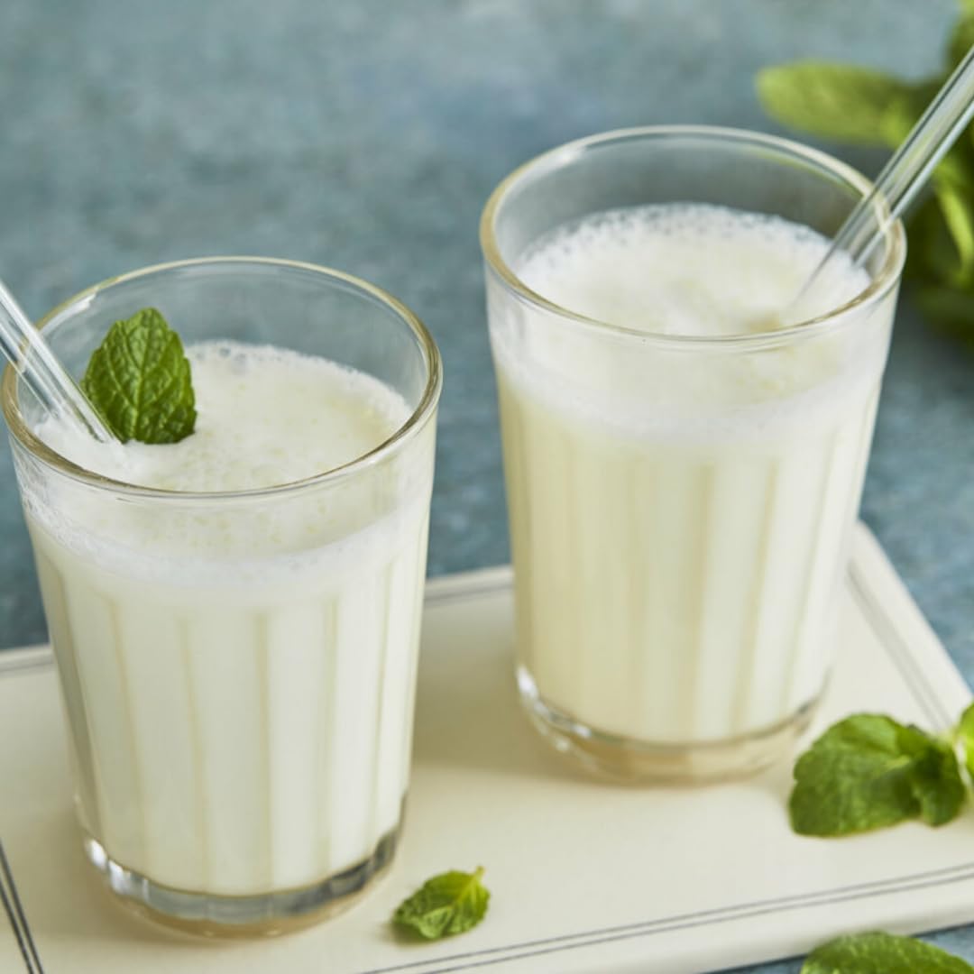 Joghurtgetränk Ayran anatolischer Joghurt-Drink Nach Anatolischer Art, Sonderproduktionsgetränk 250 ml,10 Er