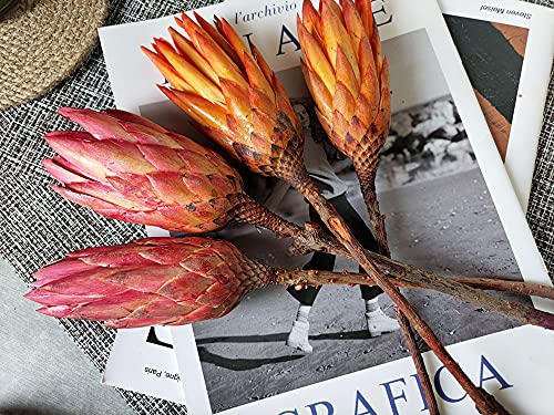 4 Pcs Dried Protea Flowers，Natural Protea Repens，Dried Flowers Arrangement，Dried Flowers For Vase Filling，Dry Flowers Bouquet Decor，Wedding Fower Decor #TOP5