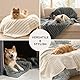 BEDSURE wasserdichte Hundedecke - 76x102 cm Hundedecke waschbar für mittelgroße Hunde, Haustier Decke flauschig und weich, Schutzdecke Hundesofa, Decke für Hunde, Creme