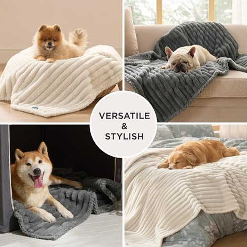 BEDSURE wasserdichte Hundedecke - 76 * 102 cm Hundedecke waschbar für mittelgroße Hunde, Haustier Decke flauschig und weich, Schutzdecke Hundesofa, Decke für Hunde, Grau