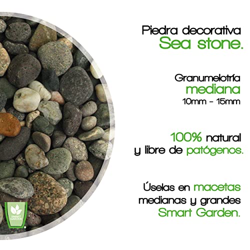 Mejores review On-line Jardineras piedra comprados en linea. 16 Mejores review On-line Jardineras piedra comprados en linea. 16