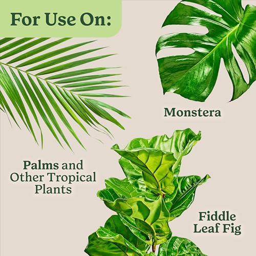 Miracle-Gro Indoor Plant Food for Tropicals, 8 fl. oz. (2-Pack) - image 9
