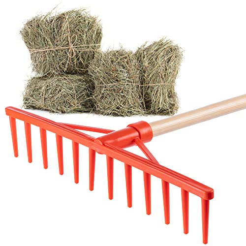 KADAX Rechen, Heurechen mit langem Stiel aus Holz, breite Harke für Garten, Beet, Rasen, Bequeme Gartenharke, Rasenrechen, Laubrechen, Gartengerät, Gartenwerkzeug (Kunststoff)