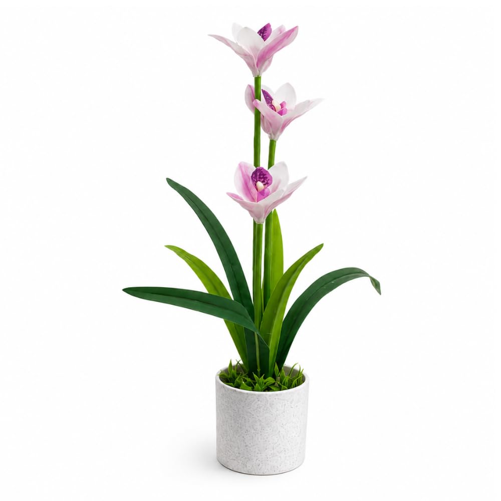 Artificial Cymbidium Orchid Plant with Pot, Red-White, Plastic, for Living Room, Bedroom & Office Table Decoration-image-43