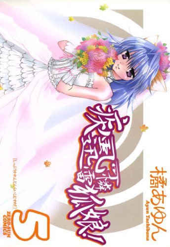 疾風可憐迅雷狐娘!