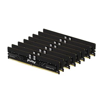 Amazon | Kingston (キングストン) FURY Renegade Pro XMP 256GB