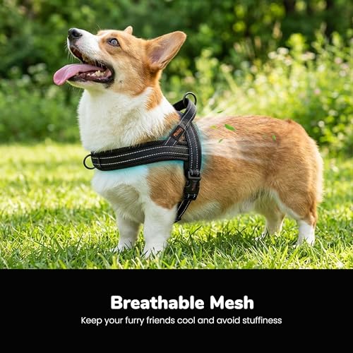 Image of Didog No Pull Dog Harness for Medium Dogs, Breathable Mesh Padded, Black, M | Quick Fit, Easy On and Off, Lightweight, Reflective Vest Harness for Night Safty, Easy for Walking and Training, Chest 21-26 inch