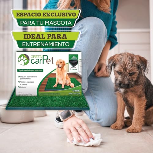 Listado de Tapete entrenador para perro los 10 mejores. 27 Imagen adicional