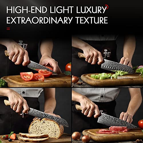 Set Cuchillos Cocina 7 Piezas Acero Inox Base miniatura 6