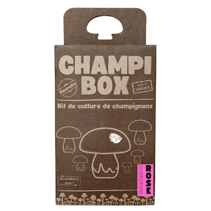 Kit de Culture de Champignons Pleurotes Roses Champibox™ (Pleurotus djamor) - Pleurotes Made in France - Gourmand et Éducatif - Idée Cadeau Originale et Naturelle pour Tous - Facile à Utiliser