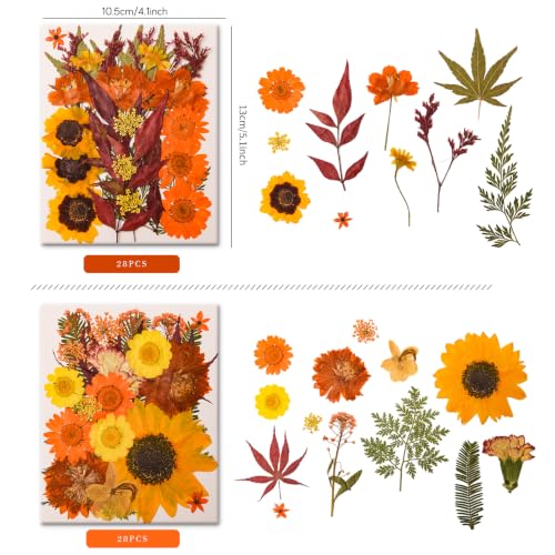 Image of 5 Packs 140 Pressed Dried Flowers & Leaves, Fall | Assorted Natural Dry Flowers, DIY Crafts, Resin Jewelry, Card Making, Soap, Candles, Nail Art, Scrapbooking
